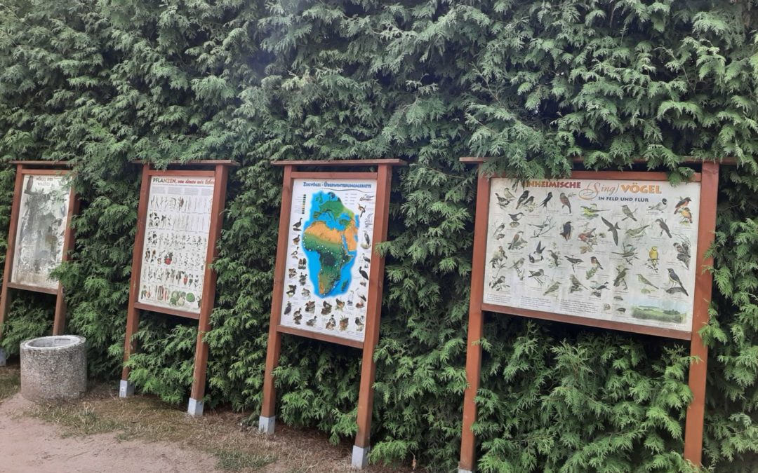 Ausflug in den Streichelzoo