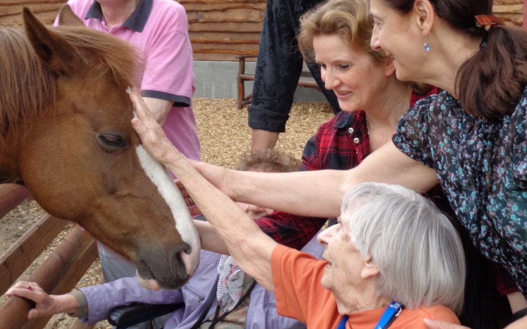 „Menschen, Tiere, Berührungen“