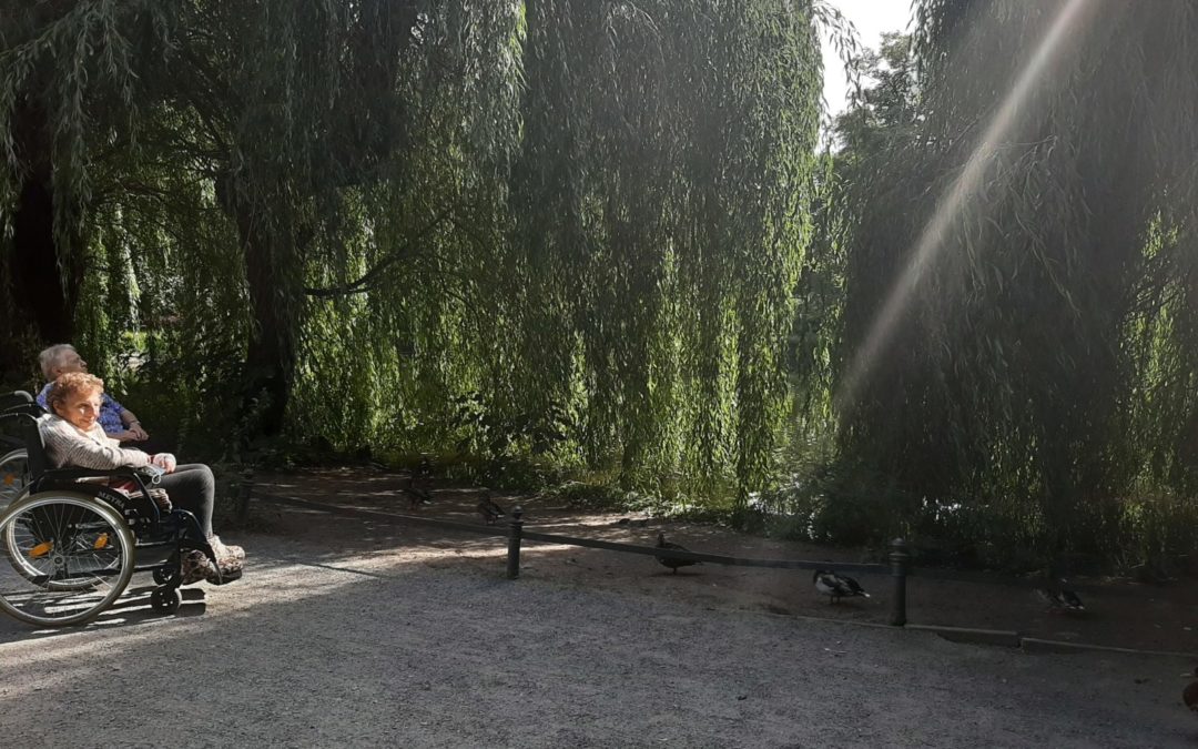 Mit den Enten auf Du und Du