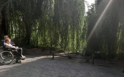 Mit den Enten auf Du und Du