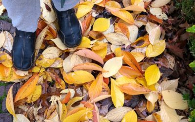 Herbstspaziergang