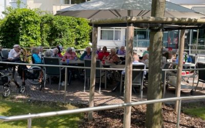 Sommerzeit gleich Gartenzeit oder unser Garten und wir