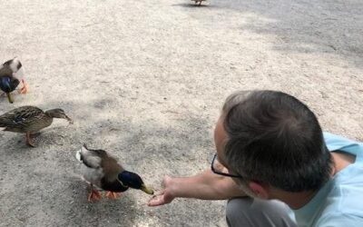 Mit den Enten auf Du und Du