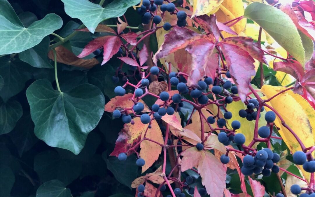 Herbstzeit