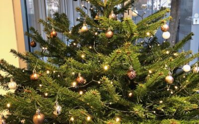 Weihnachten, Weihnachten