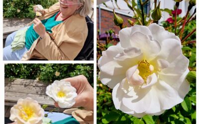 Sinnesaktivierung im Rosengarten – mit allen Sinnen genießen